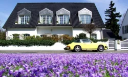 The Quick And Efficient Recovery Of Real Estate Made India